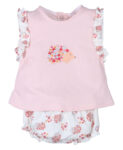 Conjunto erizo