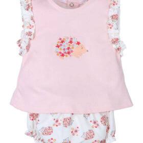 Conjunto erizo