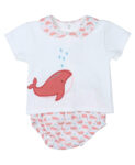 Conjunto ballena niño